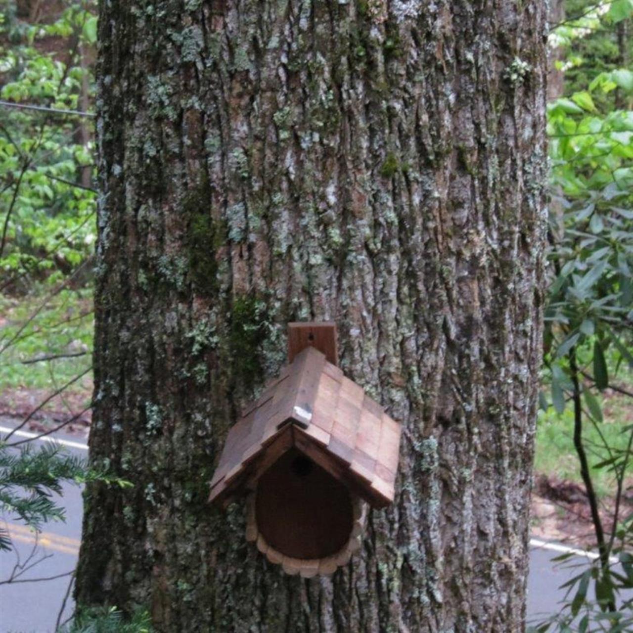 Buckberry Creek Chalet Villa Gatlinburg Exterior photo