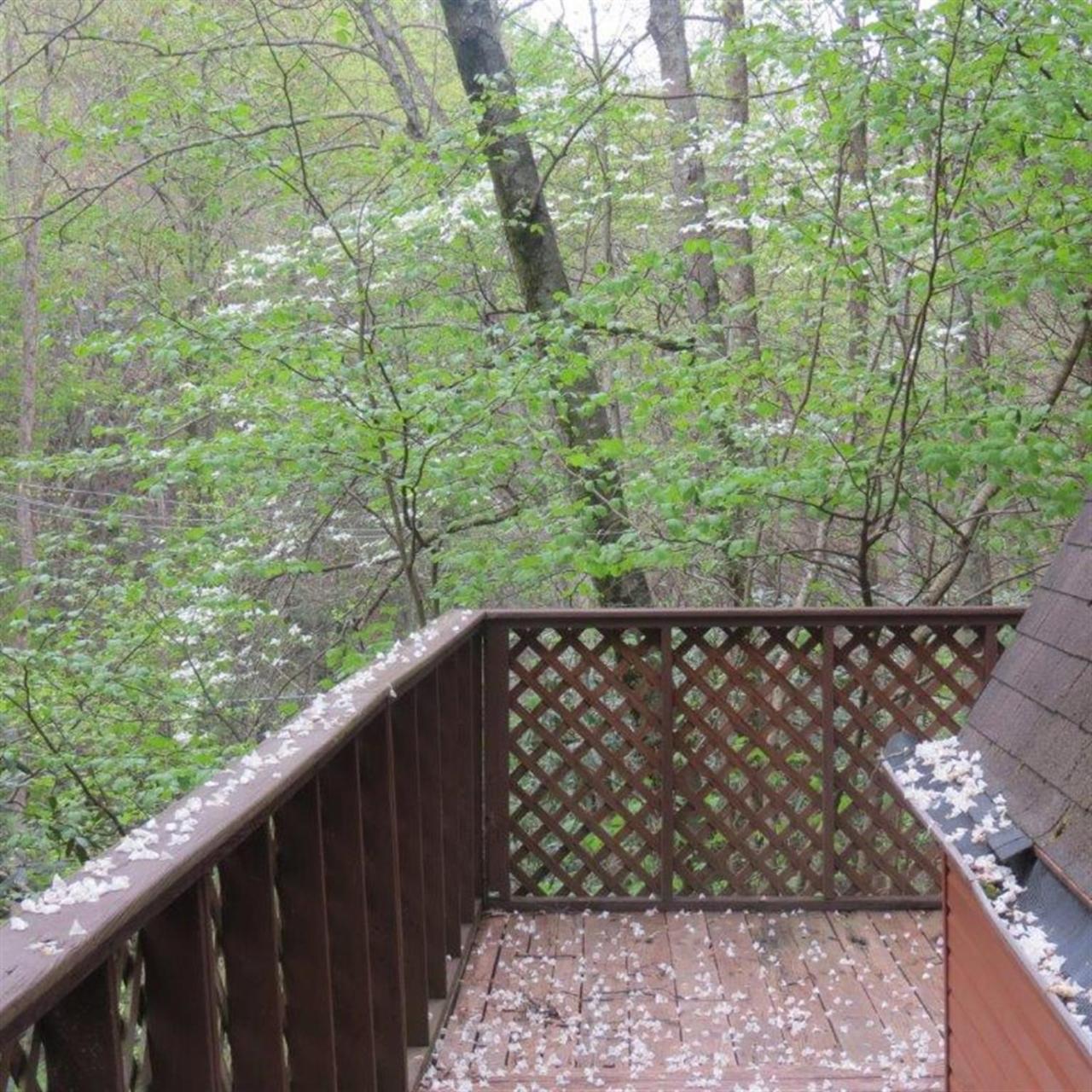 Buckberry Creek Chalet Villa Gatlinburg Exterior photo